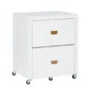 Kari White 2-Drawer Rolling Filing Cabinet